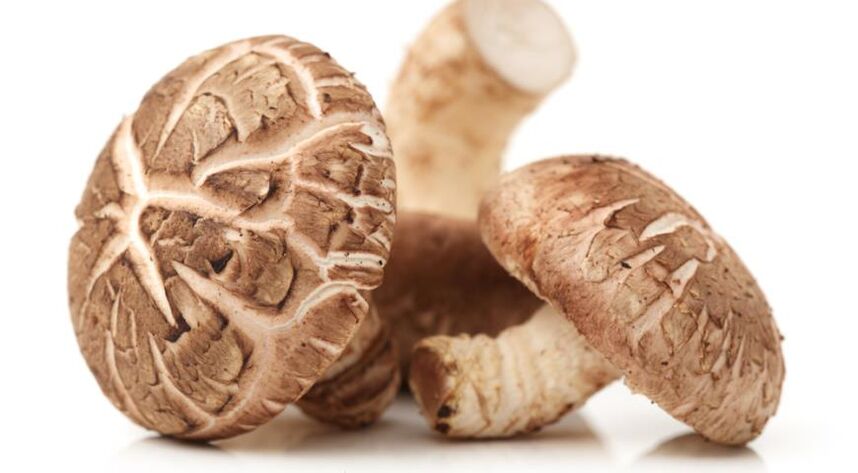 Shiitake-paddenstoelen zijn onderdeel van Prostamin Forte